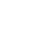 cerese security